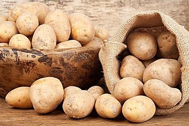 《时间旅者：重生曙光》33分钟实机 预购送《灵媒》